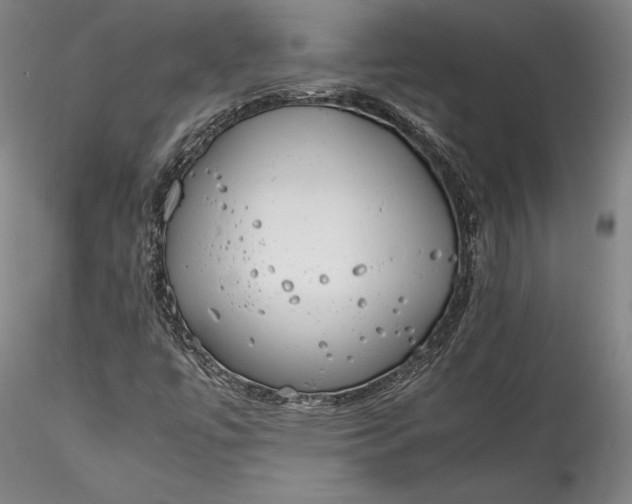 X0000115781447200911271153