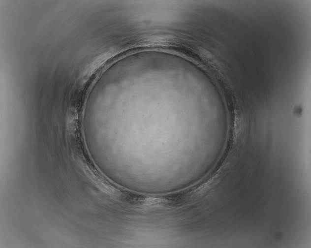 X0000115781449200911271153