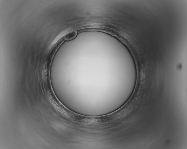 X0000115781450200911271153