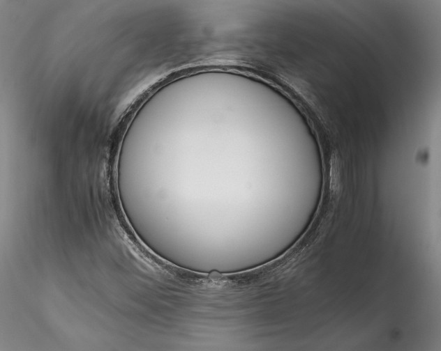 X0000115781452200911271153