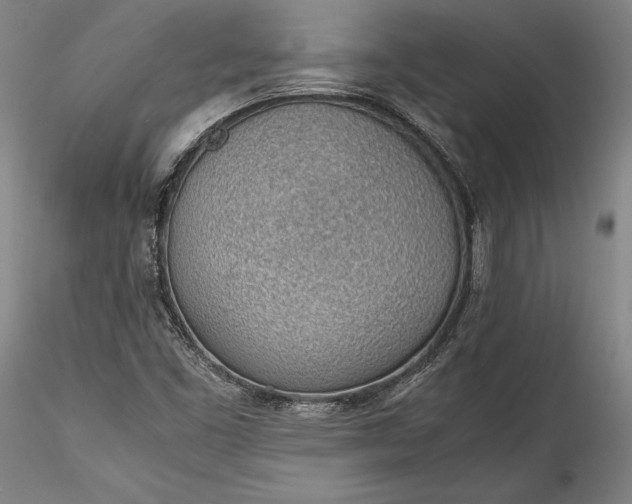 X0000115781453200911271153