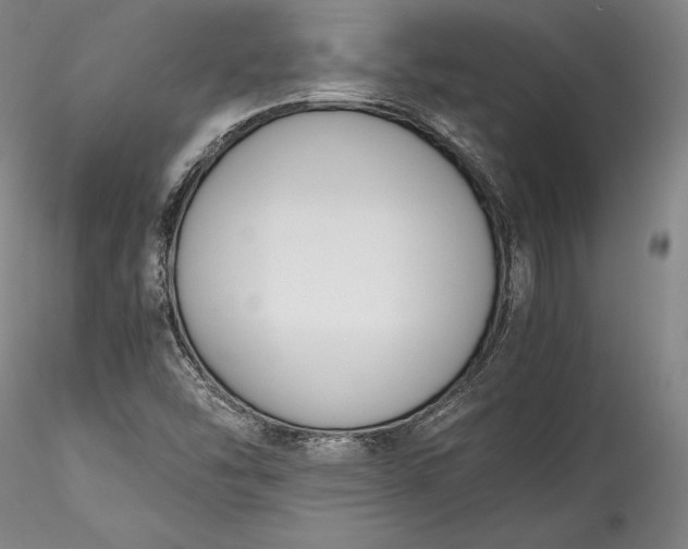 X0000115781454200911271153