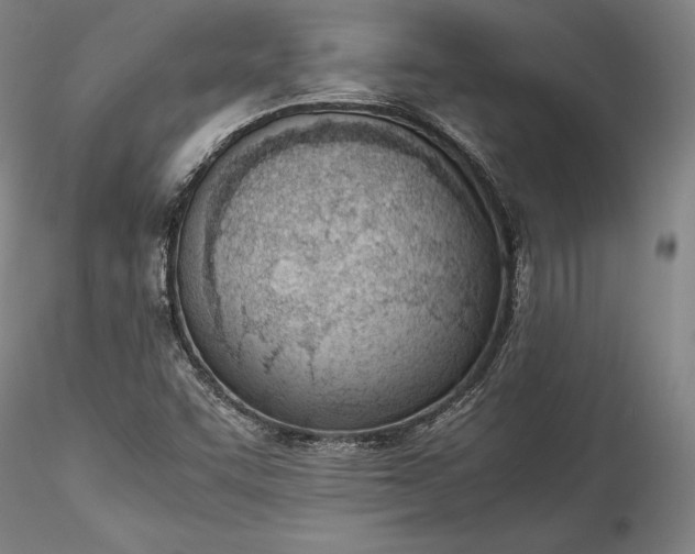 X0000115781455200911271153