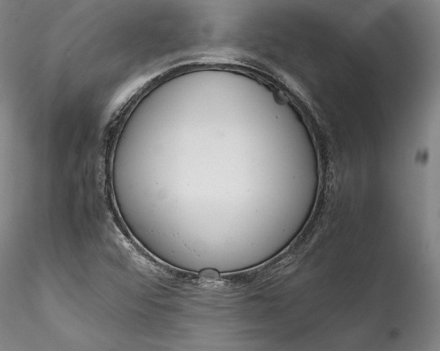 X0000115781456200911271153