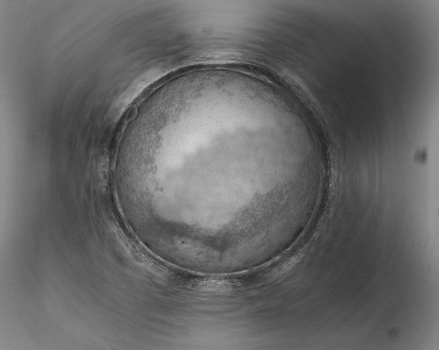 X0000115781457200911271153