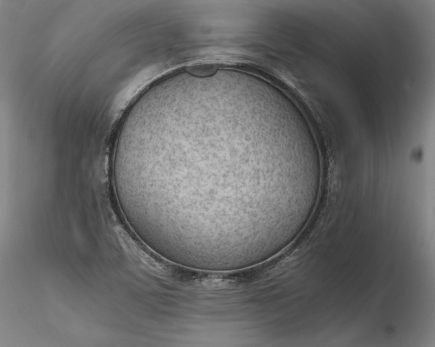 X0000115781459200911271153