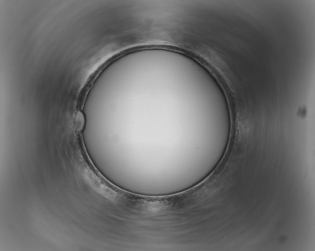 X0000115781460200911271153