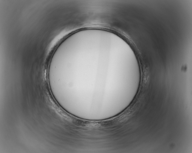 X0000115781462200911271153