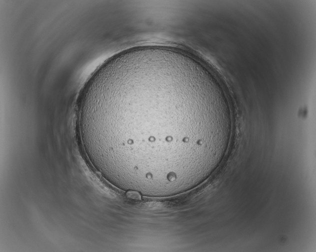 X0000115781463200911271153