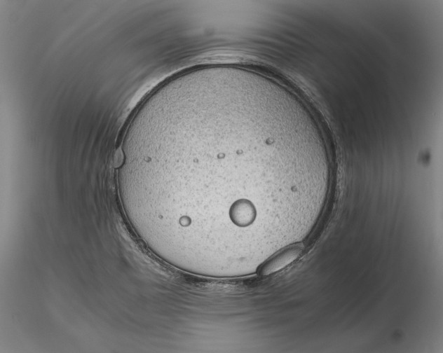 X0000115781465200911271153