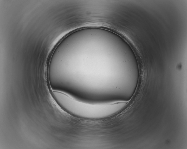 X0000115781468200911271153