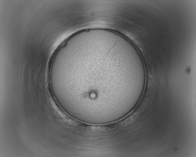 X0000115781469200911271153