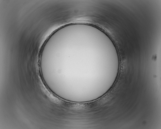 X0000115781470200911271153