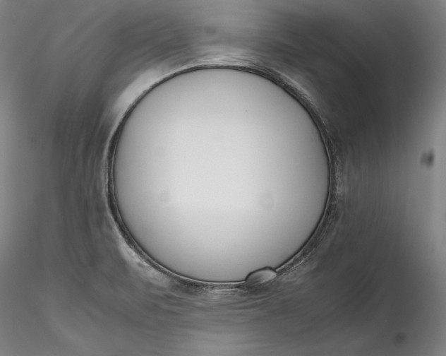 X0000115781471200911271152