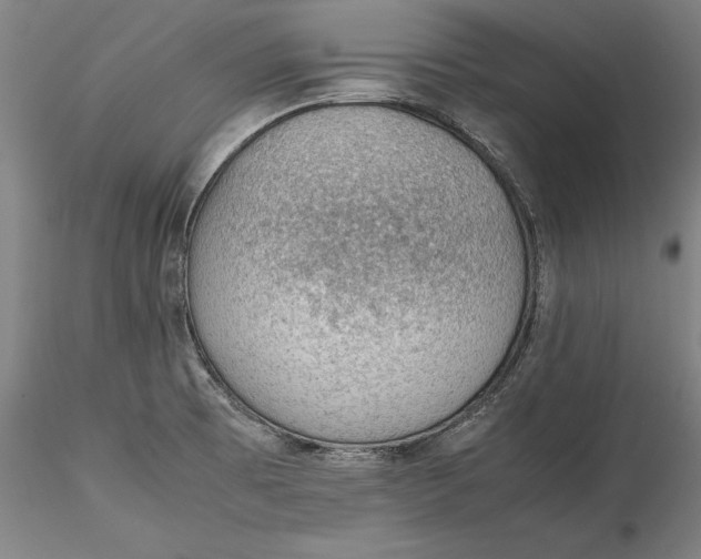 X0000115781473200911271152