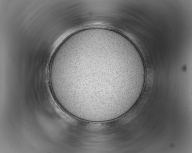 X0000115781474200911271152