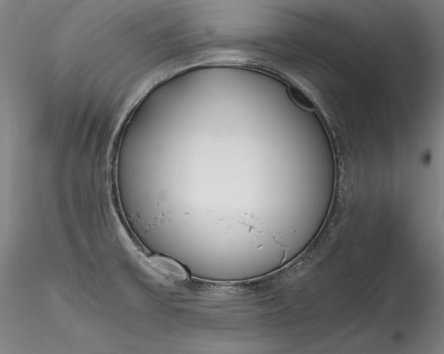 X0000115781475200911271152