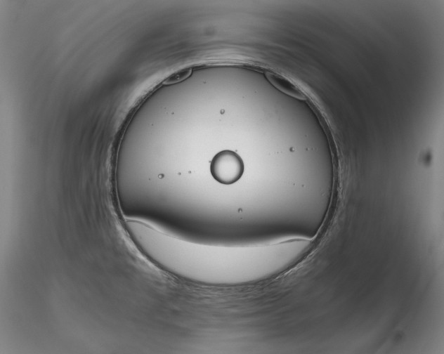 X0000115781477200911271152