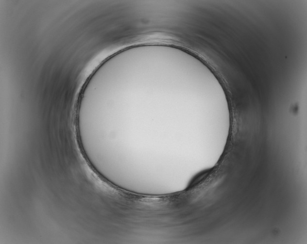 X0000115781478200911271152