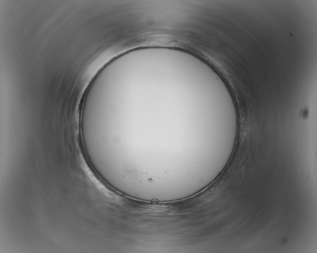 X0000115781479200911271152