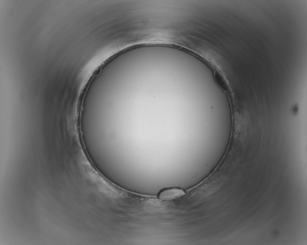 X0000115781480200911271152