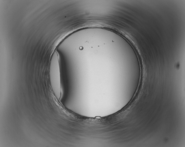 X0000115781481200911271152