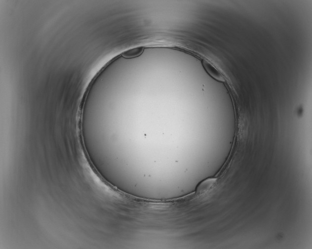 X0000115781484200911271152