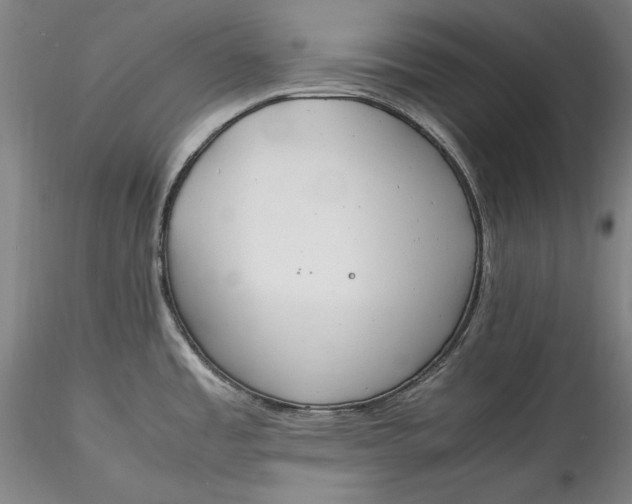 X0000115781485200911271152