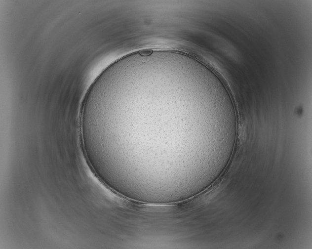 X0000115781487200911271152