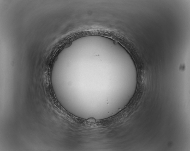 X0000115781493200911271151