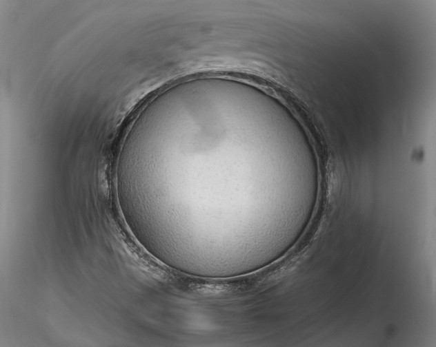 X0000115781497200911271152