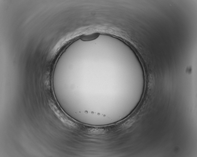 X0000115781499200911271152