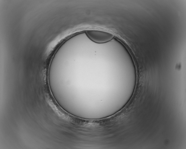 X0000115781503200911271152