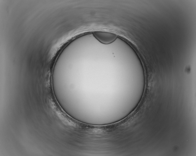 X0000115781507200911271152