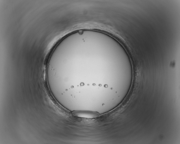 X0000115781509200911271152