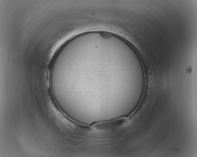 X0000115781510200911271152