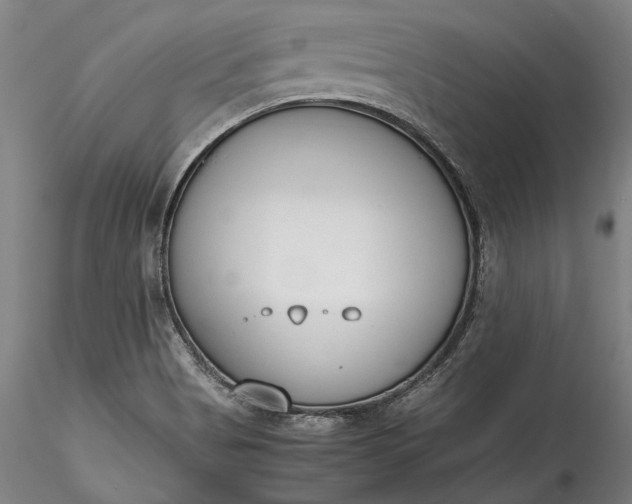 X0000115781513200911271152