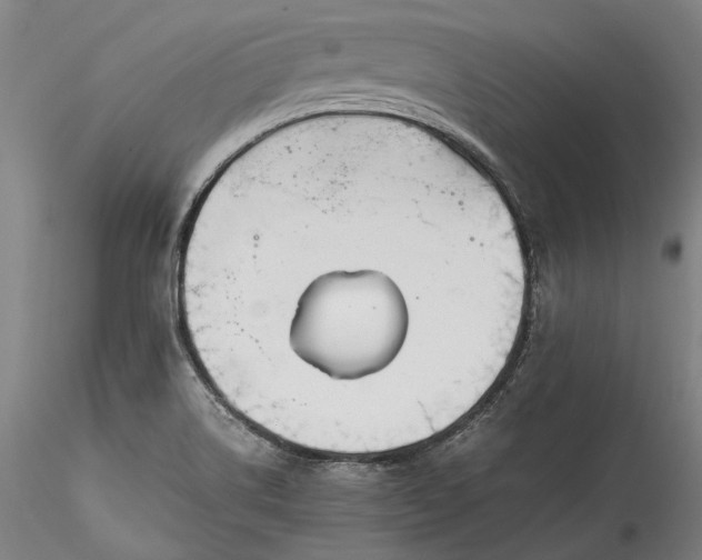 X0000115781514200911271152