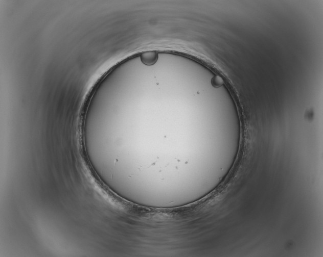 X0000115781517200911271152