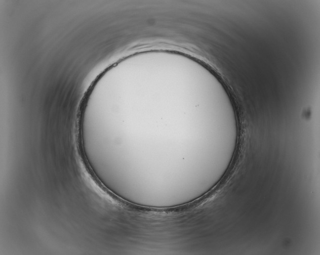 X0000115781518200911271152