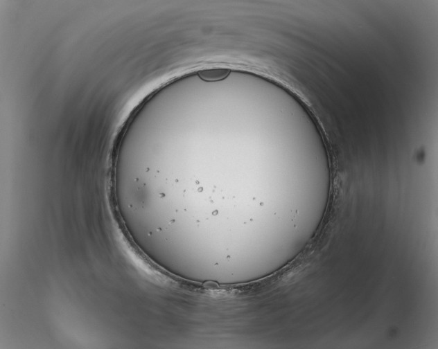 X0000115781523200911271152