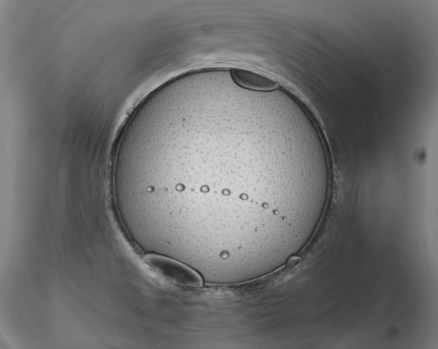 X0000115781525200911271152