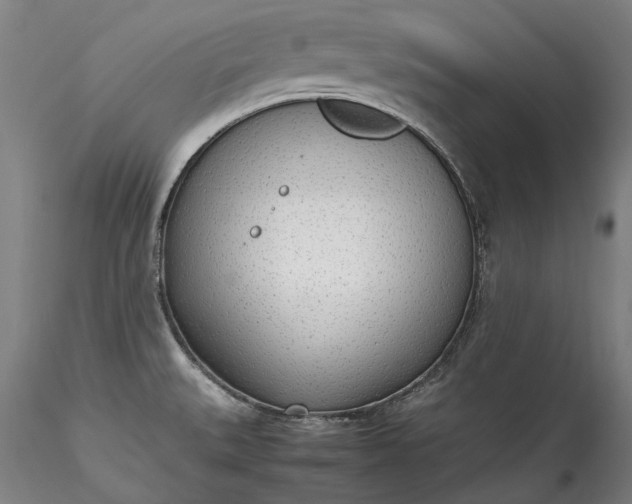 X0000115781527200911271152