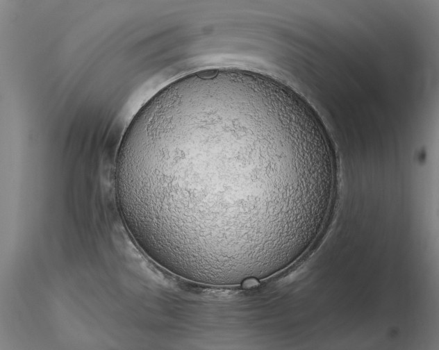 X0000115781529200911271152