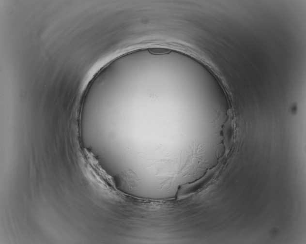 X0000115781530200911271152