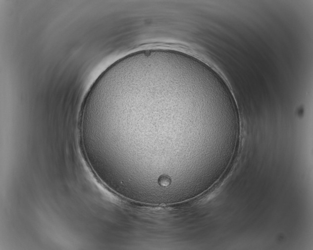 X0000115781533200911271152