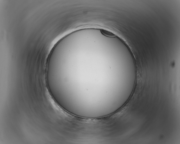 X0000115781534200911271152