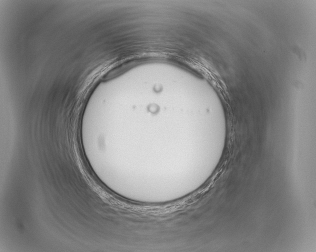 X0000115780001200912041501