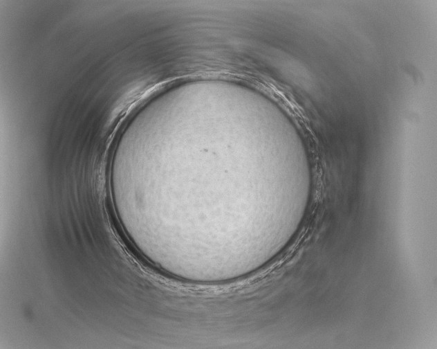 X0000115780002200912041501