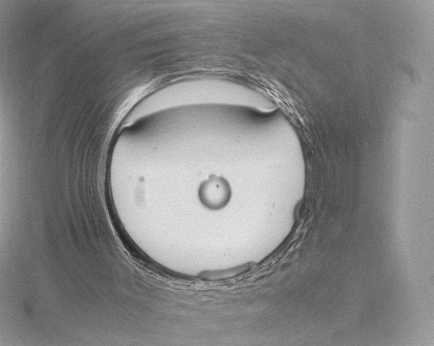 X0000115780003200912041501